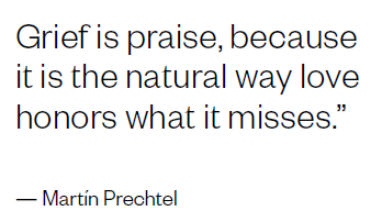 Quote from Martin Prechtel, "Grief is praise, because it is the natural way love honors what it misses"